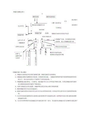 细胞代谢概念图.docx