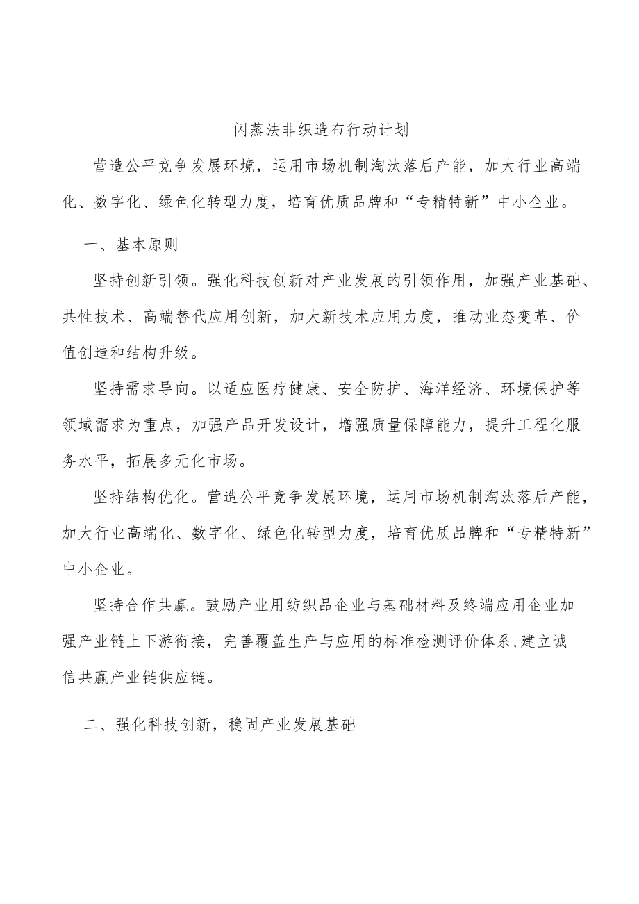 闪蒸法非织造布行动计划.docx_第1页