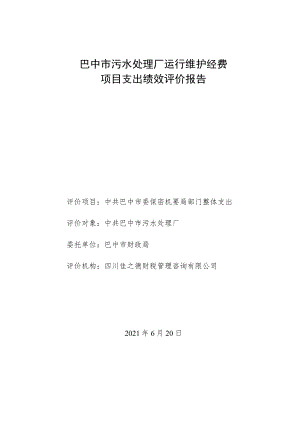 项目绩效评价报告.docx