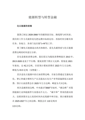 能源转型与转型金融.docx