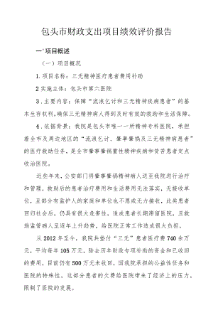 包头市财政支出项目绩效评价报告.docx