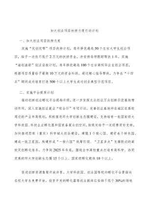 加大创业项目扶持力度行动计划.docx
