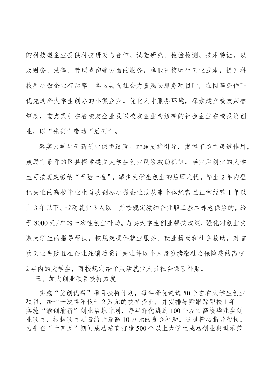 加大创业项目扶持力度行动计划.docx_第3页