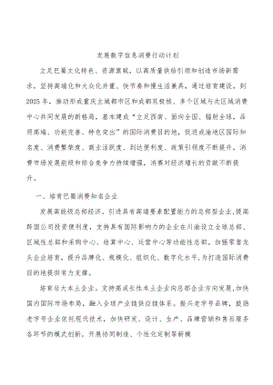 发展数字信息消费行动计划.docx