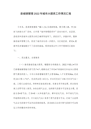 县城镇管理2022年城市大提质工作情况汇报.docx