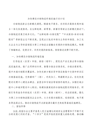 加快建设冷链物流终端设施行动计划.docx