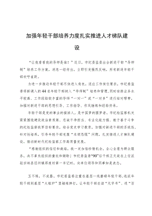 加强年轻干部培养力度+扎实推进人才梯队建设.docx