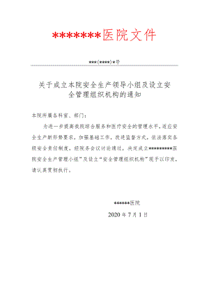 医疗机构安全生产领导小组及设立安全管理组织机构的文件.docx