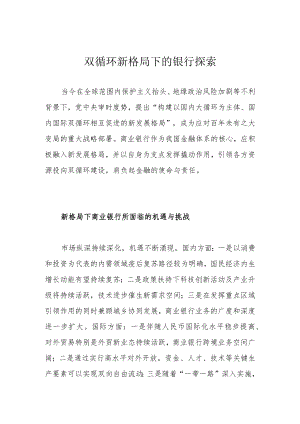 双循环新格局下的银行探索.docx