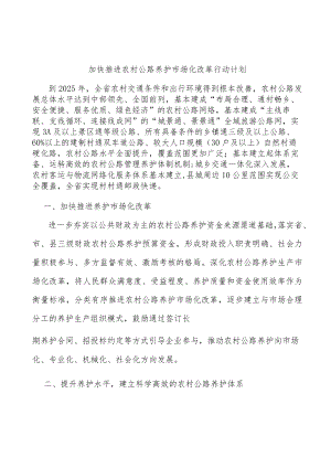 加快推进农村公路养护市场化改革行动计划.docx