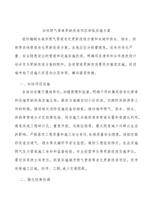 加快燃气管道更新改造项目审批实施方案.docx