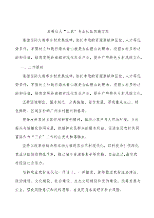 发展壮大“三农”专业队伍实施方案.docx