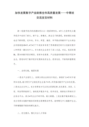 加快发展数字产业 助推全市高质量发展——中青班交流发言材料.docx