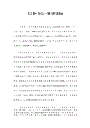 县发展村财促乡村振兴情况报告.docx