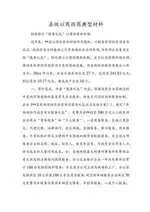 县级以商招商典型材料.docx