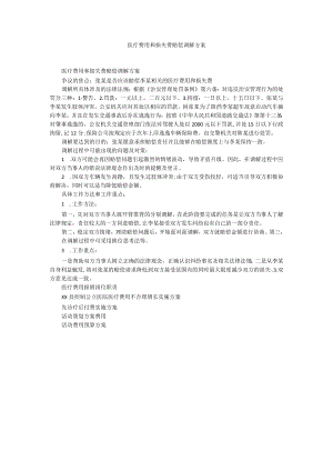 医疗费用和损失费赔偿调解方案.docx