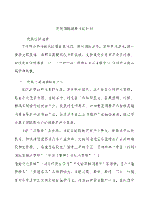 发展国际消费行动计划.docx