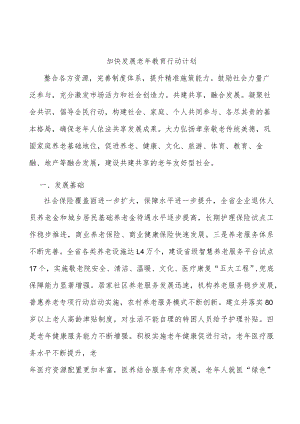 加快发展老年教育行动计划.docx