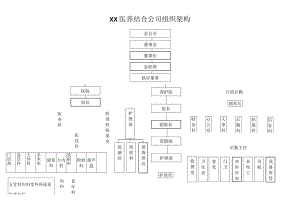 医养结合公司组织架构图.docx