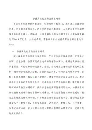 加强高效应急物流体系建设.docx