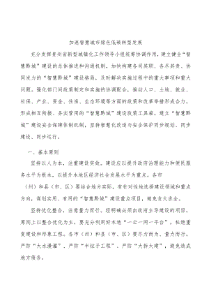 加速智慧城市绿色低碳转型发展.docx