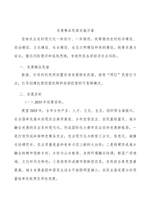 发展精品民宿实施方案.docx