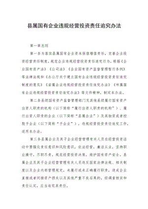 县属国有企业违规经营投资责任追究办法.docx