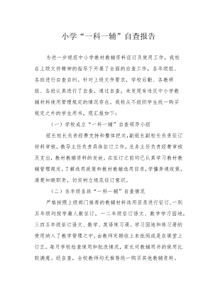 小学“一科一辅”自查报告.docx