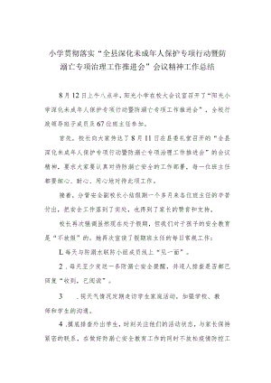 小学贯彻落实“全县深化未成年人保护专项行动暨防溺亡专项治理工作推进会”会议精神工作总结.docx