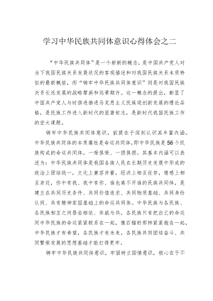 学习中华民族共同体意识心得体会之二.docx