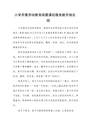小学开展劳动教育拓展课后服务新天地总结.docx