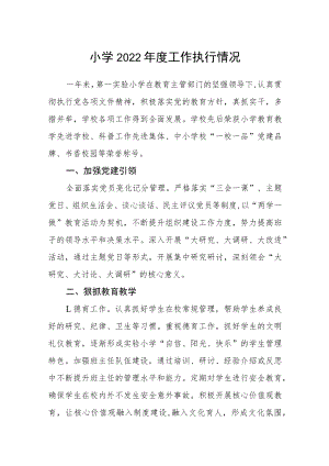 小学2022年度工作执行情况.docx