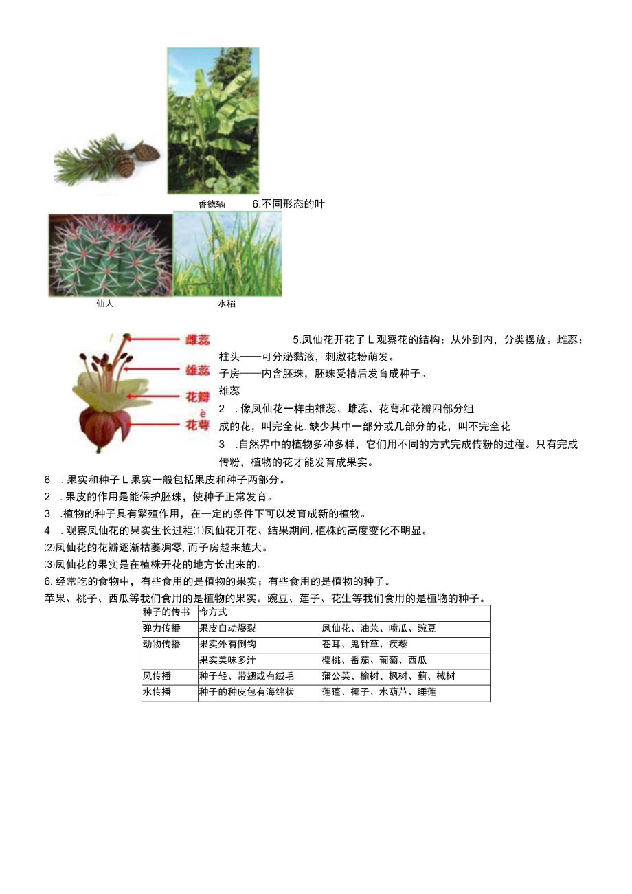 小学科学教科版四年级下册全册知识点整理(2021新版).docx_第3页