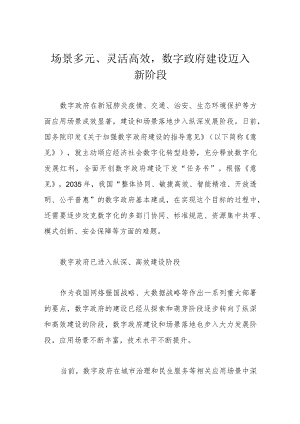 场景多元、灵活高效数字政府建设迈入新阶段.docx