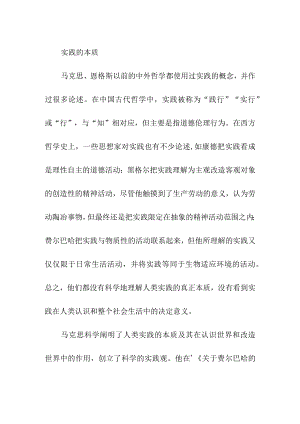 实践的本质.docx