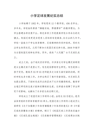 小学足球发展纪实总结.docx