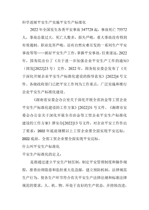 安全生产标准化宣传.docx