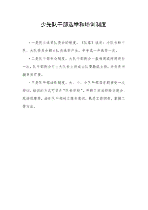 少先队干部选举和培训制度.docx