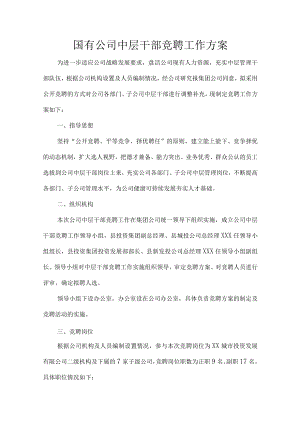 国有公司中层干部竞聘工作方案.docx