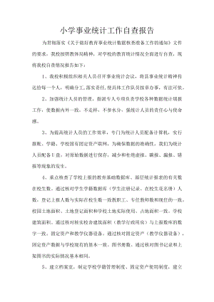 小学事业统计工作自查报告.docx