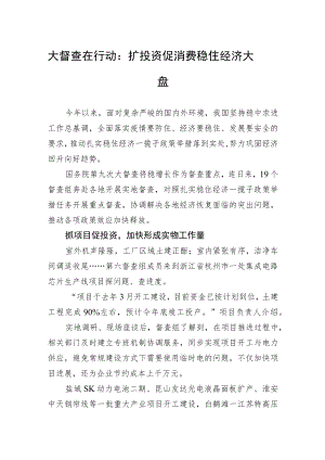 大督查在行动：扩投资促消费+稳住经济大盘(20220829).docx