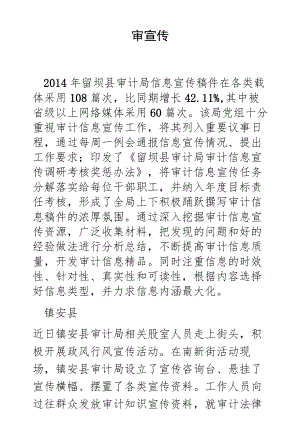审计宣传.docx