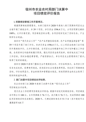 宿州市农业农村局部门决算中项目绩效评价报告.docx