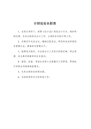 大学计财处处长职责.docx