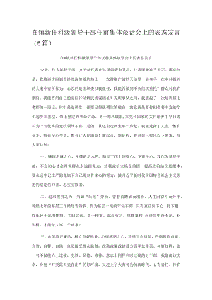 在镇新任科级领导干部任前集体谈话会上的表态发言（5篇）.docx