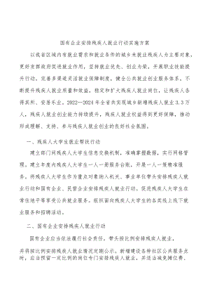 国有企业安排残疾人就业行动实施方案.docx