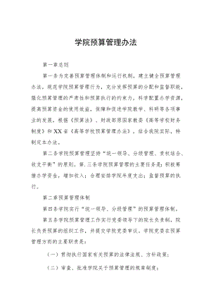 大学学院预算管理办法.docx
