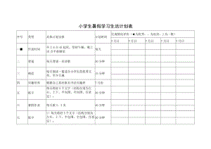 小学生暑假学习生活计划表（含13项内容）.docx