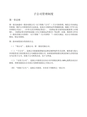 子公司管理制度.docx