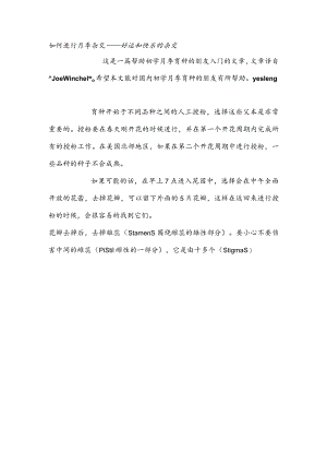 如何进行月季杂交.docx